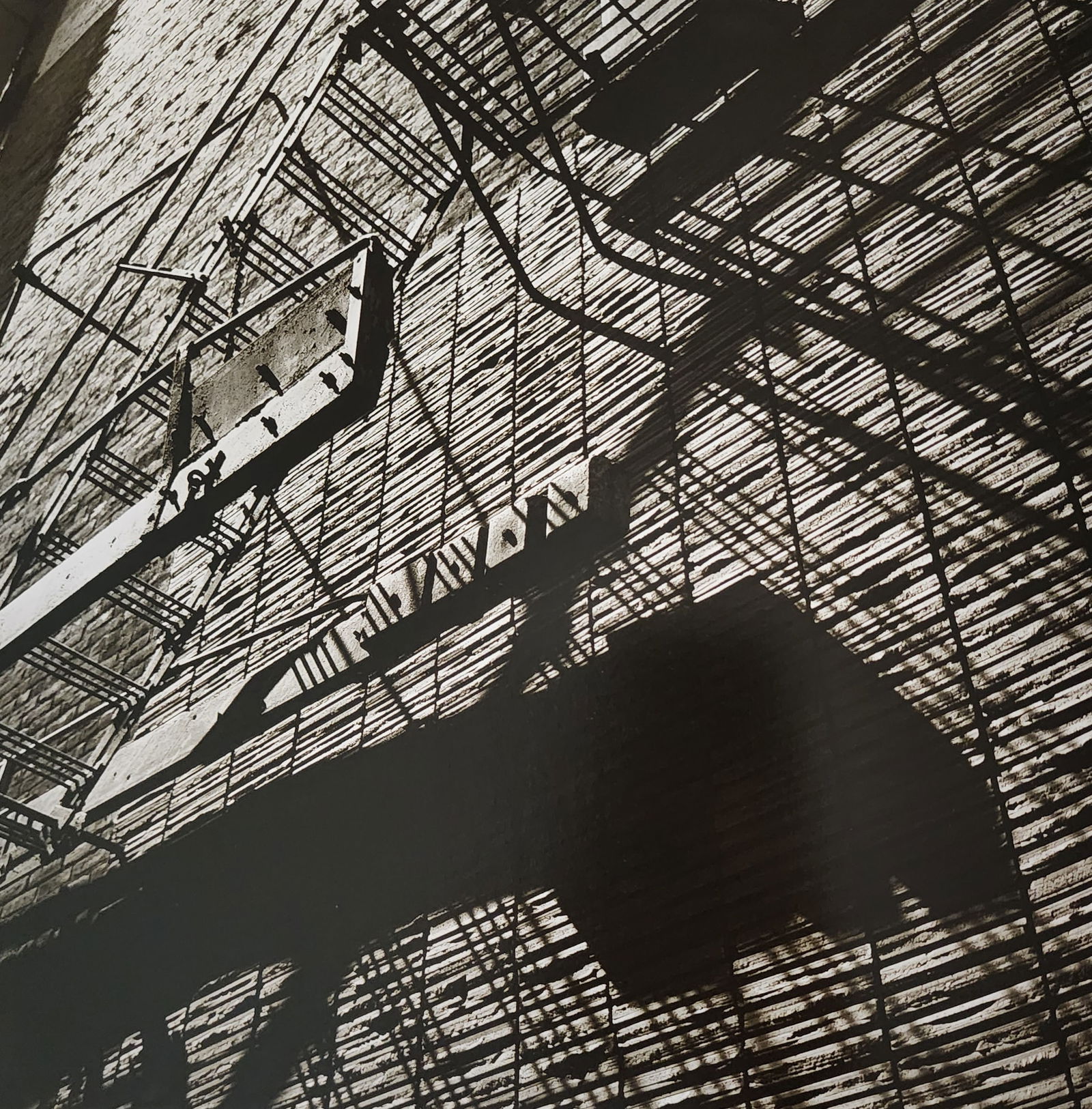 Vivian Maier, Untitled - 59, Photogravure (1 of 1)