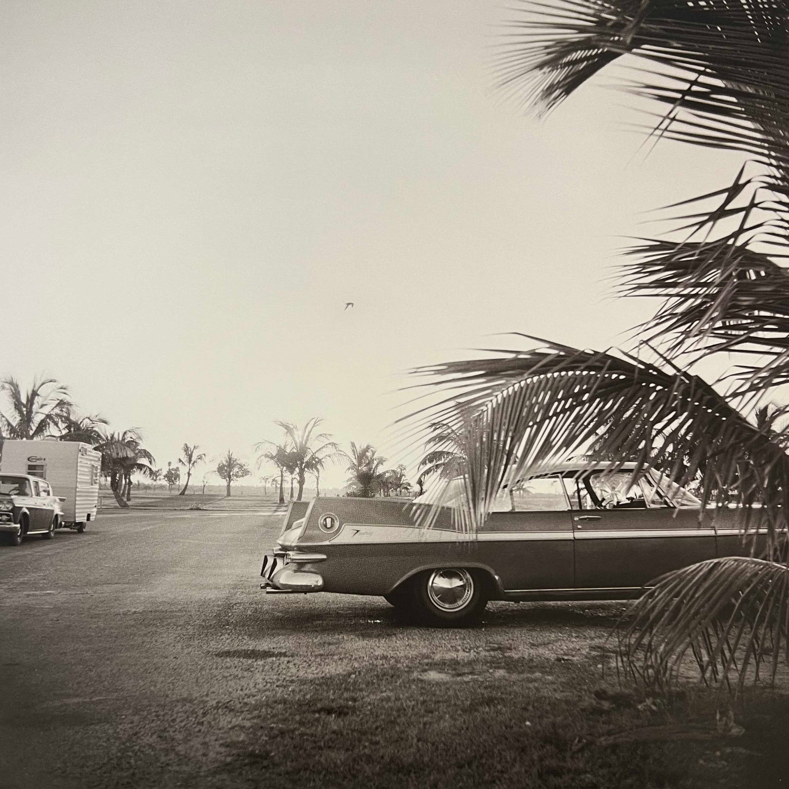 Vivian Maier, Florida, 1955-57: Photographer: Vivian Dorothy Maier, (1926-2009) was an American street photographer whose work was discovered and recognized after her death. She worked for about 40 years as a nanny, mostly in Chicag