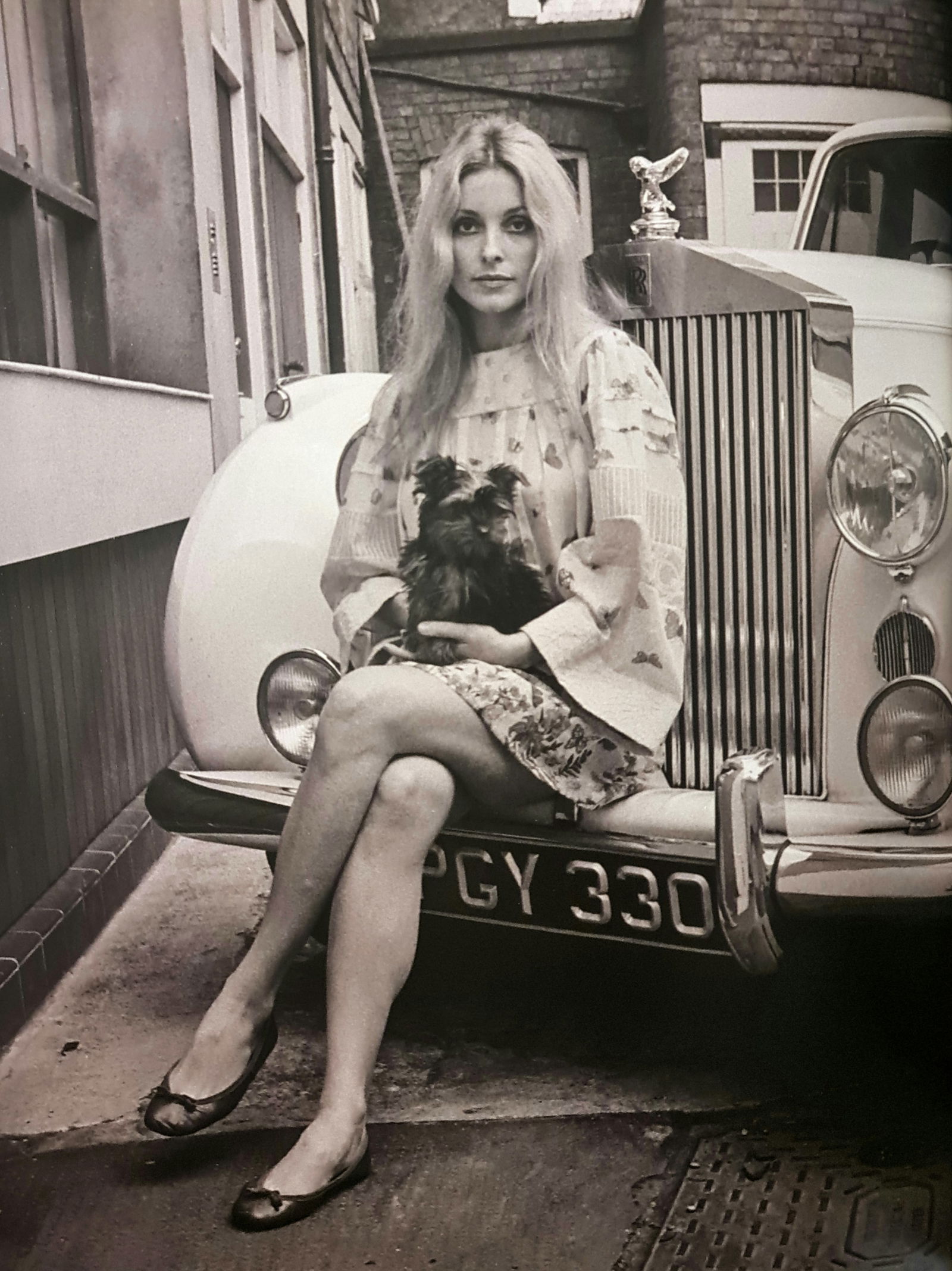 Terry O'neill, Sharon Tate, 1968 (1 of 1)