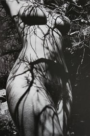 Lucien Clergue, 'Alpilles Francaises, 1973