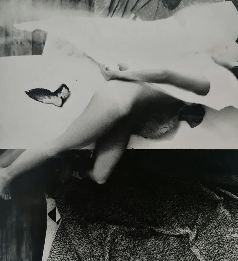 Francesca Woodman, Untitled, (Swang Song series) Providence, Rhode Island, 1978 - 3: Title: Francesca Woodman, Untitled, (Swang Song series) Providence, Rhode Island, 1978 - 3 Type: Sheet-Fed Photogravures Year: 2022 Publisher: Moderna Museet Size: 5.5" x 6" Print Origin: Sweden Condi