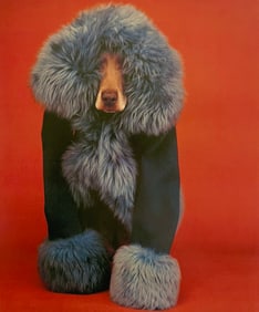 William Wegman, Blue Powder, 1994