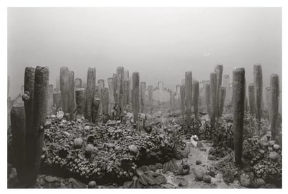 Hiroshi Sugimoto, Udder Devonlan Period, 1992, Limited Edition Lithograph