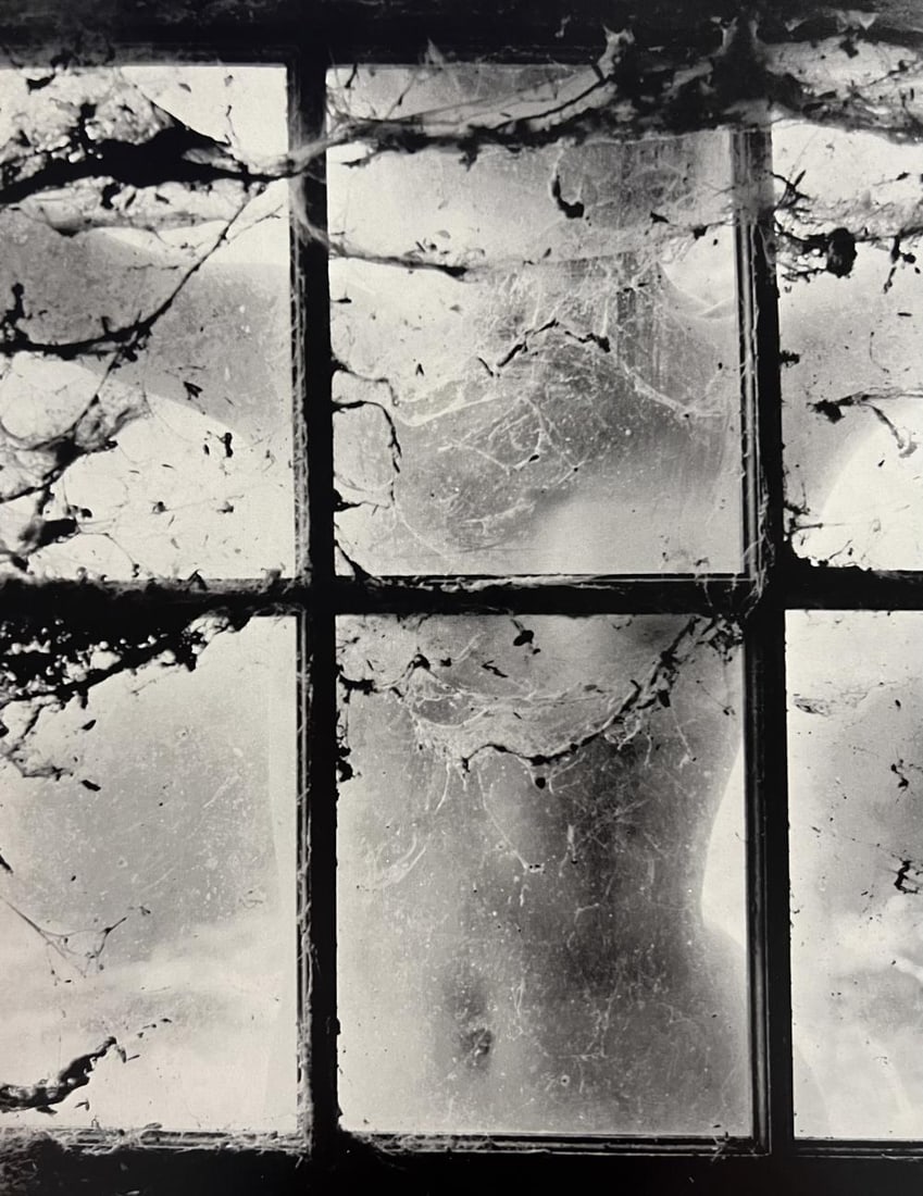 Wynn Bullock, Untitled, 1950's - 5: Artist: Wynn Bullock Title: Untitled Year: 1950's Date Of Print: 1971 Approximate Dimensions: 9 x 8 Mat size: 14 x 16 inches Print/Printmaer: The Scrimshaw Press Medium: Sheet-Fed Photogravure Conditi