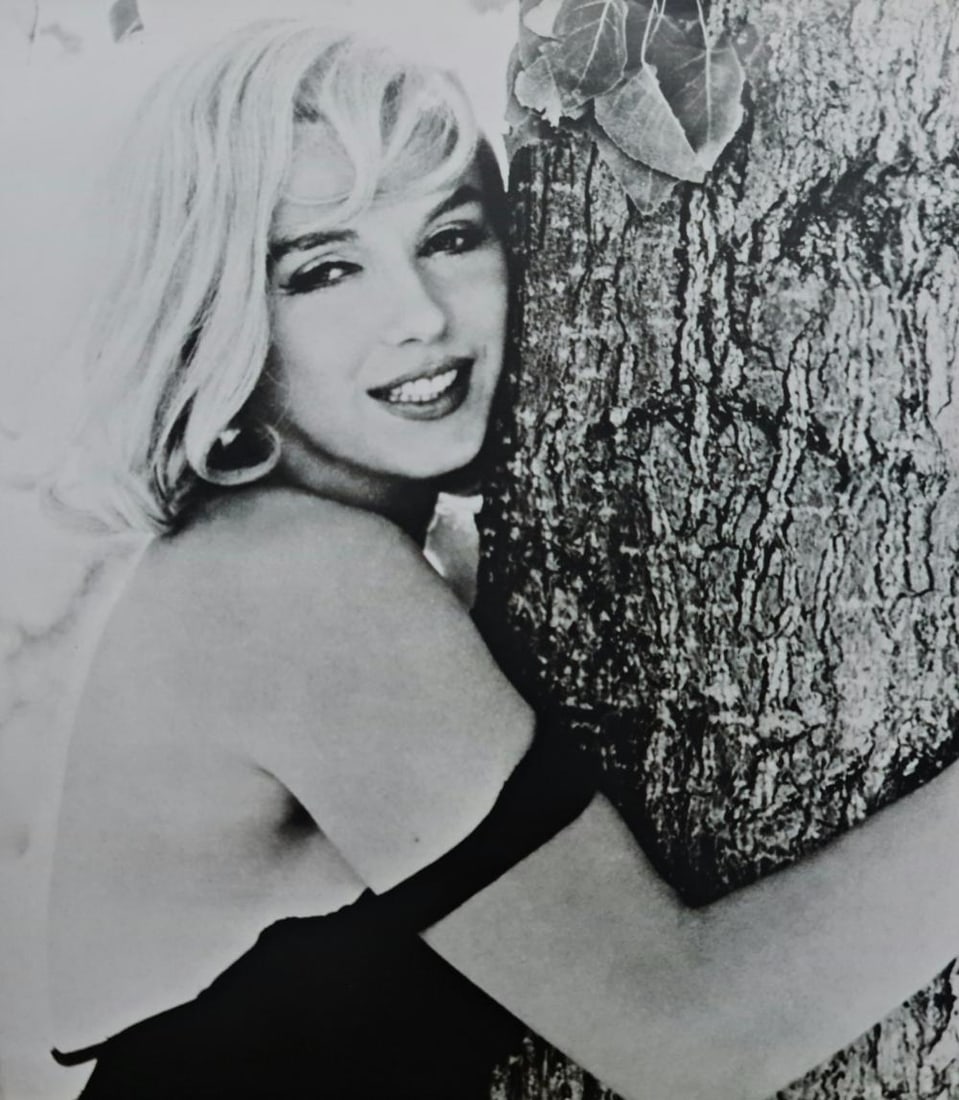 Marilyn Monroe hugging a tree (1 of 1)