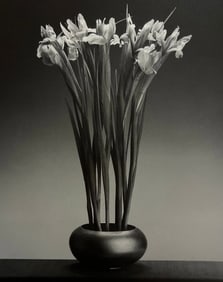 Robert Mapplethorpe, Irises, 1988
