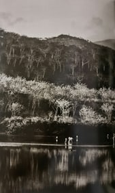 Sebastiao Salgado, Falmingos at Punta Cormorant, Galapagos, Ecuador, 2004