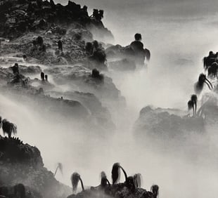 Wynn Bullock, Untitled, 1960's - 2