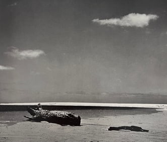 Wynn Bullock, Untitled, 1960's - 3