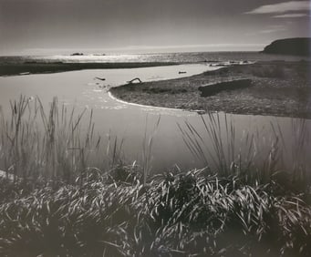 Ansel Adams, Grass, Reeds, Water, Near LIttle River, Northern California, 1959
