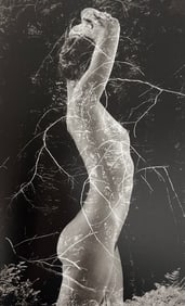 Ruth Bernhard, Symbiosis, 1971