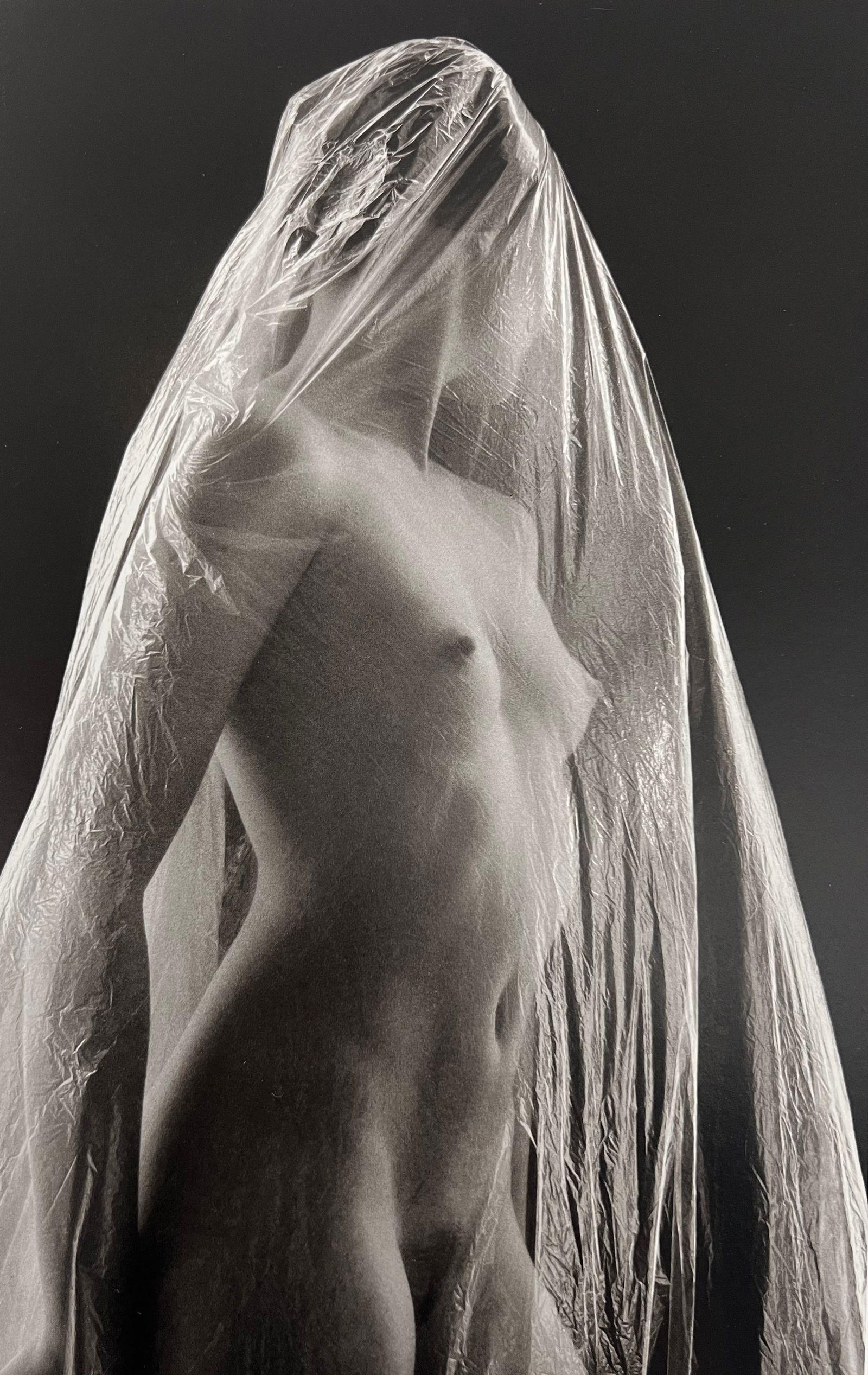 Ruth Bernhard, Transprent, 1968: Ruth Bernhard (1905-2006) was the daughter of Lucien Bernhard, a graphic designer known as "the father of the German poster." After studying for two years at the Berlin Academy of Art, she came to New