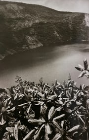 Sebastiao Salgado, Giant seneco plants and and crater lake, Rwanda, 2004