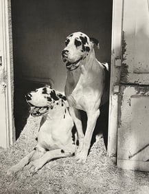 Bruce Weber, Untitled, 1988 - 11