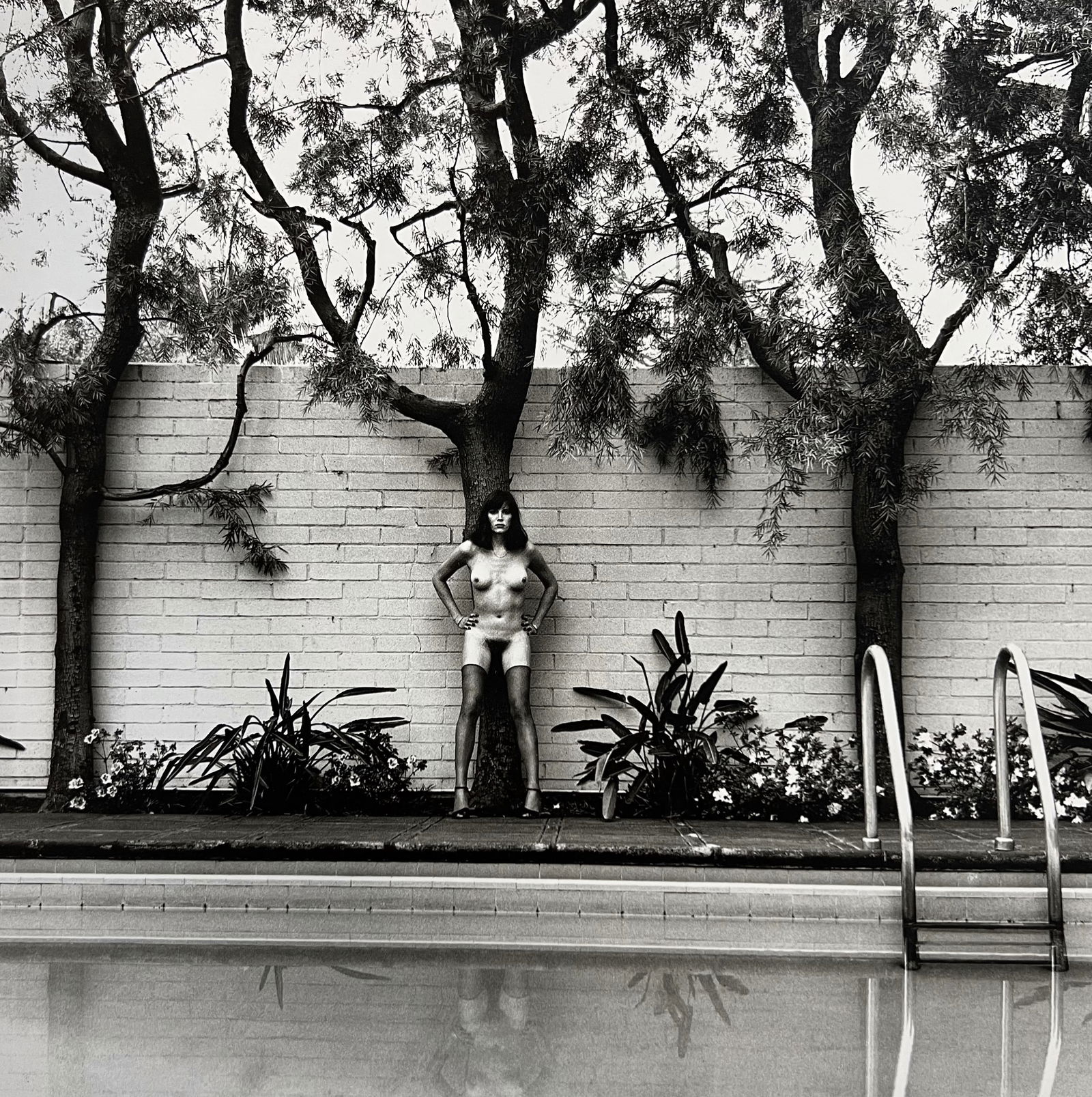 Helmut Newton, Big Nudes, 1981 - 2 (1 of 1)