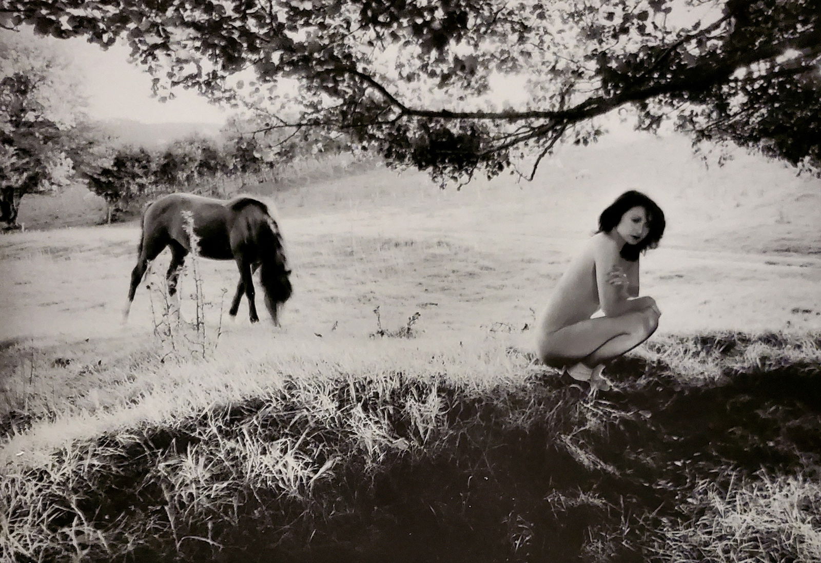 John Swannell, Nude with Horse, 1980's: Photographer: John Swannell was born in 1946. After leaving school at 16, he worked first as an assistant at Vogue Studios and then assisted David Bailey for four years before setting up his own studi