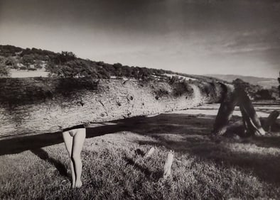 John Swannell, Nude with Log, 1980's
