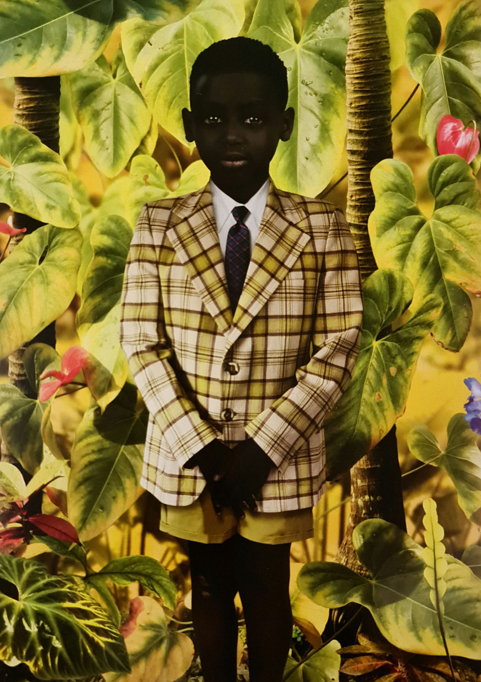 Ruud Van Empel, World#20, 2006 (1 of 1)