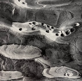 Wynn Bullock, Untitled, 1970's - 8