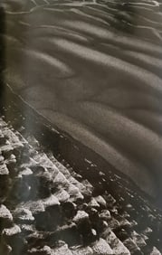 Sebastiao Salgado, Golfo San Jose, Valdez Peninsula, Argentina, 2004