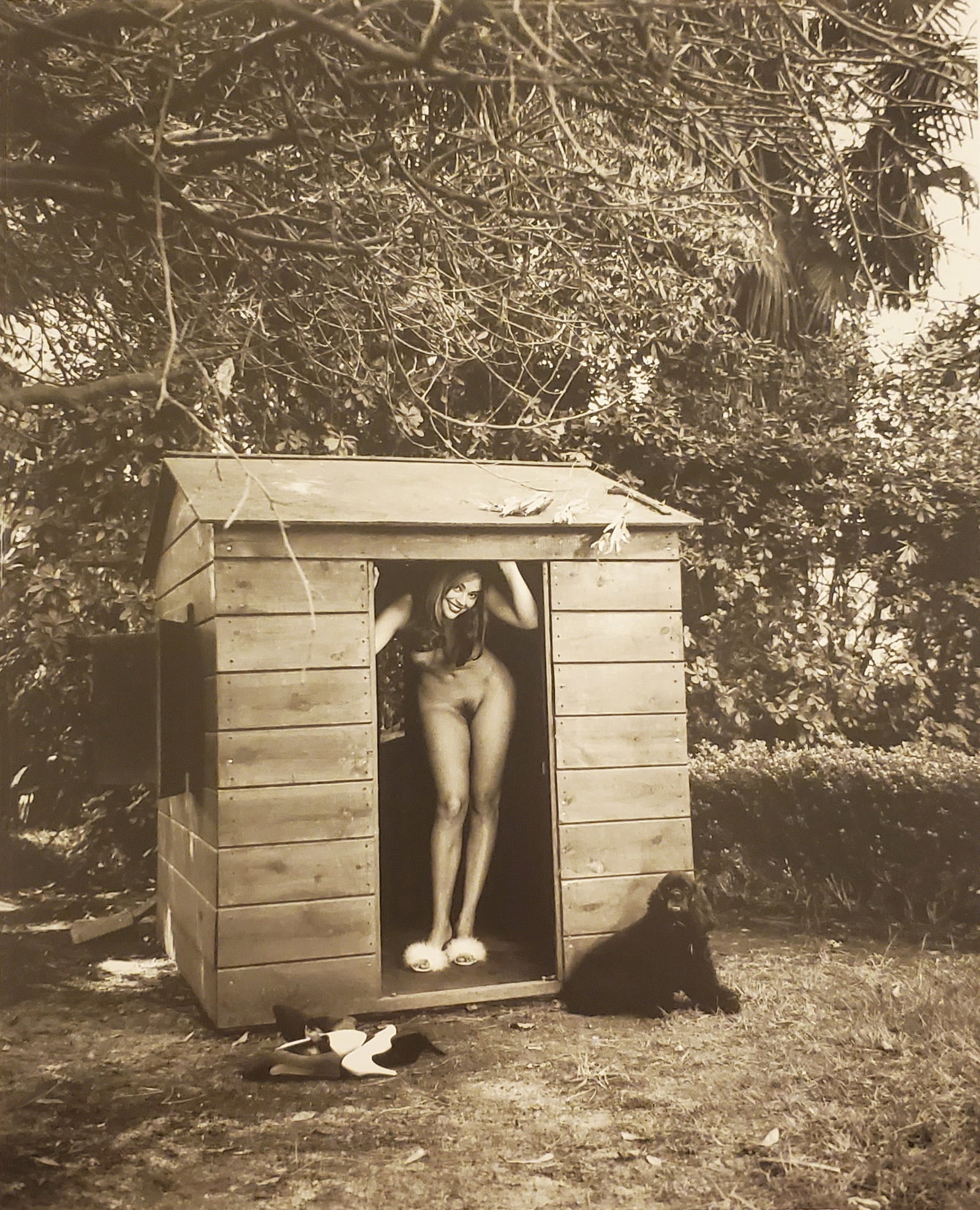 Helmut Newton, Domestic Nude Vii, In A Playhouse, Los Angeles, 1992: Photographer: Helmut Newton (Germany, 1920 - 2004) - best known for his erotically charged highly stylized images, Helmut Newton was one of the most influential fashion photographers of all time. Titl
