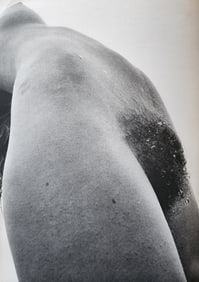 Lucien Clergue, 'Genese' 1973