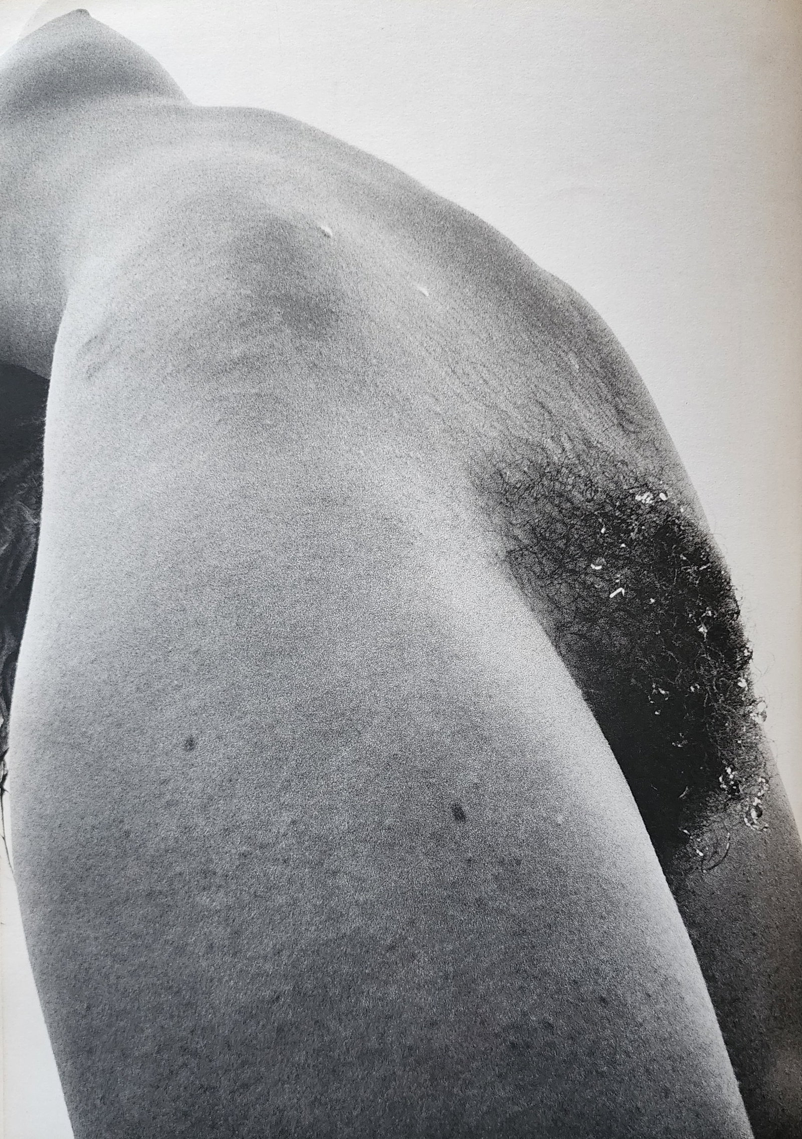 Lucien Clergue, 'Genese' 1973: Photographer: Lucien Clergue (France, 1934 - 2014) - renowned French photographer with a diverse body of work, he is perhaps best known for his dynamic female nude studies in and around water which of