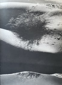 Lucien Clergue, 'Genese' 1973