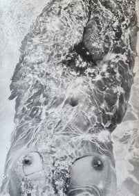 Lucien Clergue, 'Genese' 1973