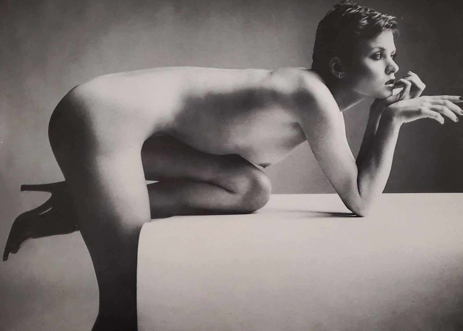 John Swannell, Flamingo, 1980's (1 of 1)