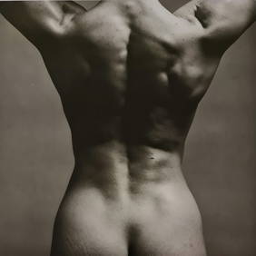 Robert Mapplethorpe, Lisa Lyon, 1982 (1 of 1)