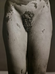 Robert Mapplethorpe, Lisa Lyon, 1982