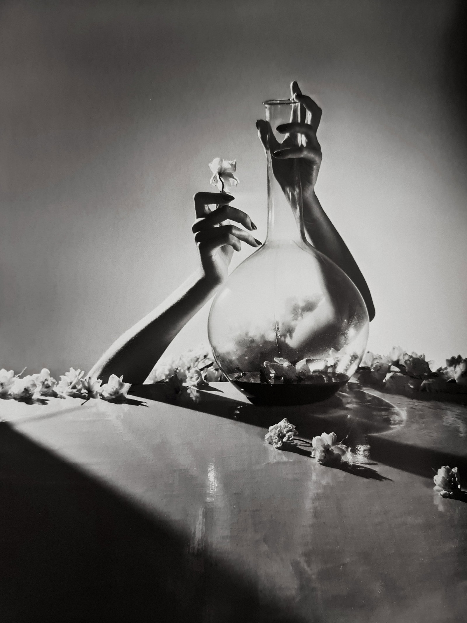 Horst P. Horst, Lisas Hands With Vase And Flowers, New York, 1941 (1 of 1)