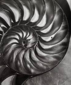 Horst P. Horst, Nautilus