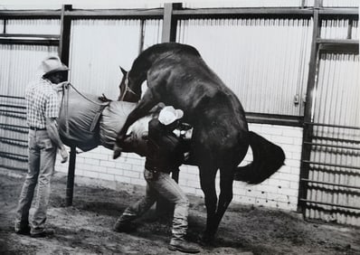 Helmut Newton 'South West Stallion, Elgin, Texas' 1985