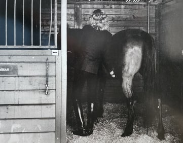 Helmut Newton 'Woman and Horse, Burbank, CA' 1987