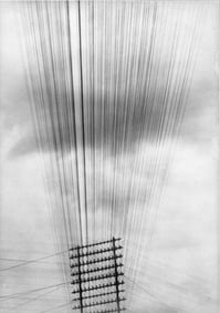 Tina Modotti, Telegraph Wires, Mexico, 1925