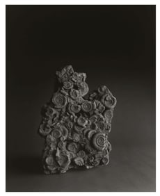 Hiroshi Sugimoto, Pptro-028, 2008