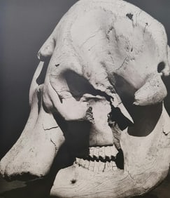 Herb Ritts, Elephant Skull, 1994