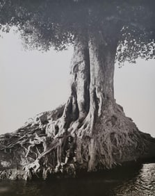 Herb Ritts, Nangini, Giant Fig Tree, Full View, 1994