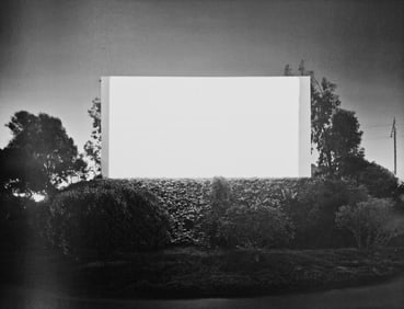 Hiroshi Sugimoto, White Mantled Colobus, 1980