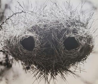 Herb Ritts, Weaver Nest, 1994