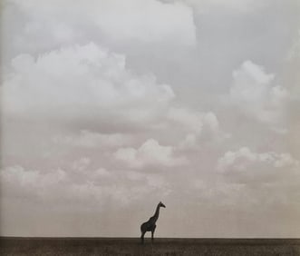 Herb Ritts, Graffee, Serengeti Plains, 1994