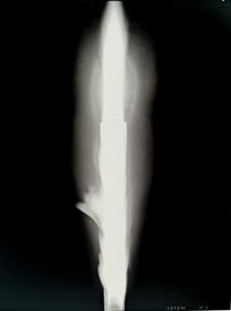 Hiroshi Sugimoto, Untitled (Flickering Candel Light) - 10
