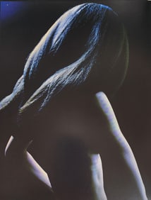 Andreas H. Bitesnich, More Nudes, 2012