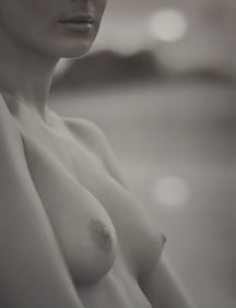 Guido Argentini, 'Silver nude, 2004'