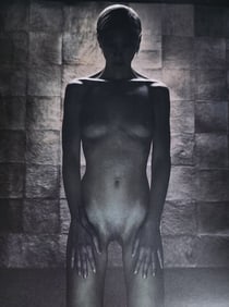 Andreas H. Bitesnich, More Nudes, 2012