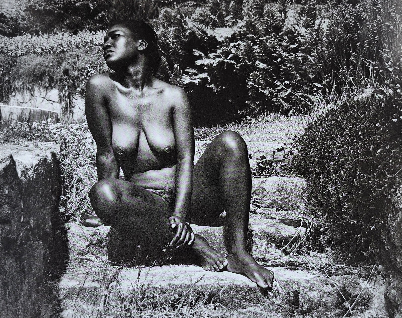 Edward Weston - Nude #98, New Mexico, 1939: Photographer: Edward Weston 1886-1958) was a 20th-century American photographer, considered "one of the most innovative and influential American photographers". His photography revealed a focus on the