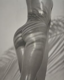Guido Argentini, 'Silver nude, 2004'