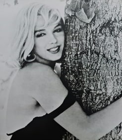 Marilyn Monroe hugging a tree